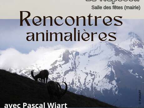 Rencontres animalières