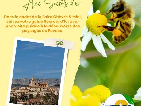 Visite guidée du village de Fuveau