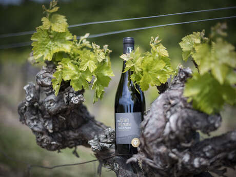 Domaine des Maladières