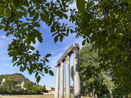 Site VTT FFC - Provence Verdon - Circuit 26 - Vert - Riez