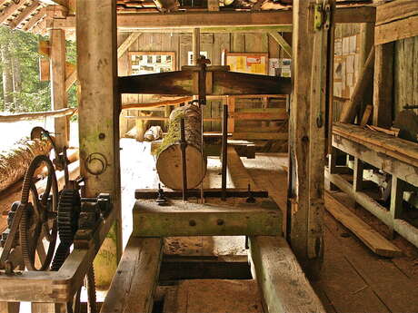 Large sawmill