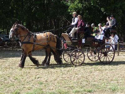 Attelages des Tours