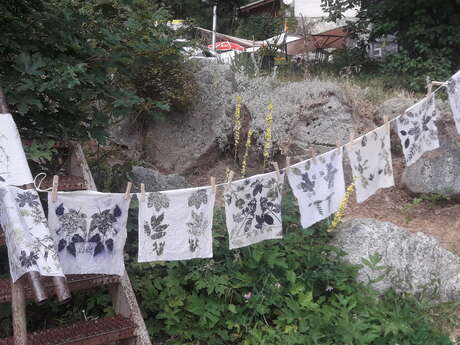 Workshop: Fabric Herbarium