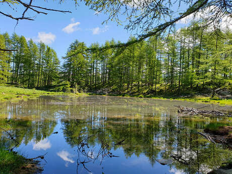 Balade : Lac des Grenouilles