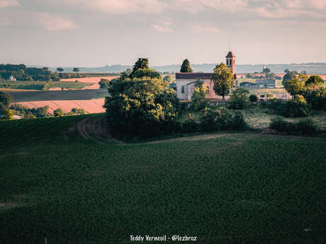 Viewpoint of the Pyrenees