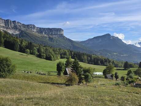 Il était un berger : le troupeau qui suit l'herbe I Rendez-vous Nature en Savoie