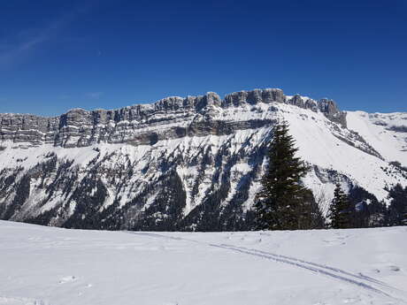 Initiation Ski de Randonnée - Ecole de Porte