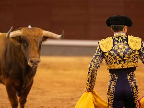 Feria - Novillada non piquée