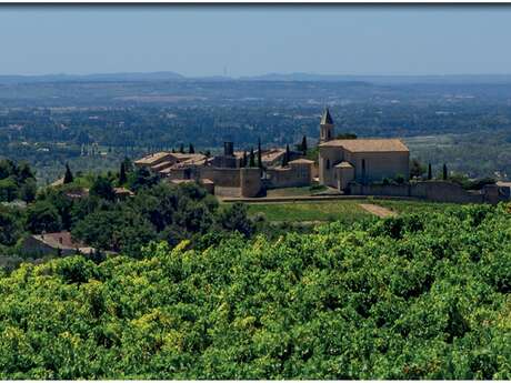 La randonnée de Cairanne par Terra Rando