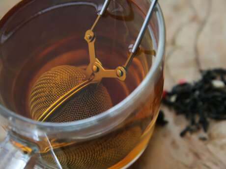 Atelier Herboristerie : découverte des plantes toniques au café des arts