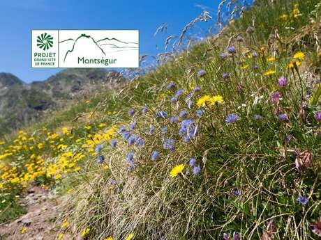 Regards croisés sur la biodiversité de Prades