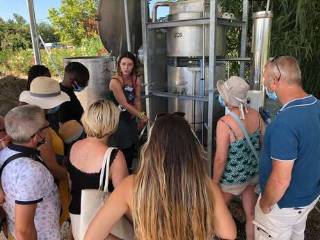 Visites guidées au Mas en Provence Visites guidées au Mas en Provence