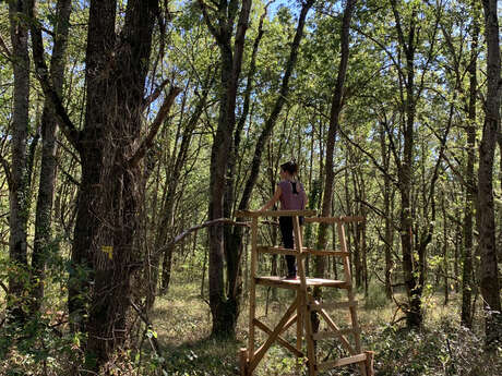 PR7 Sur le Chemin de Montavent - Maillet PR7 Sur le Chemin de Montavent - Maillet