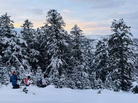 San Valentín con raquetas de nieve bajo las estrellas