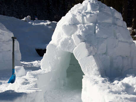 Construction d'igloos