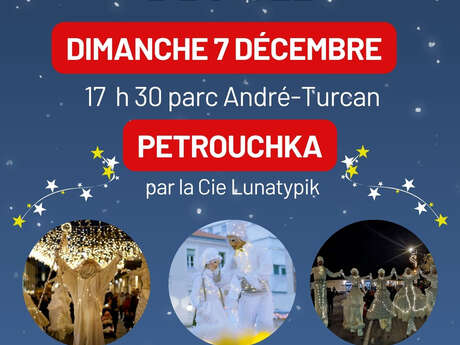 Illuminations de Noël