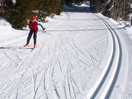 Leçon particulière de ski nordique : skating et classique