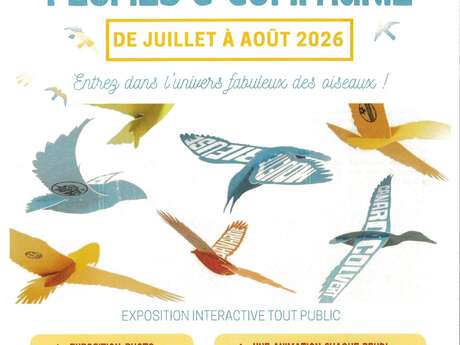 A tire d'aile - lectures et jeux