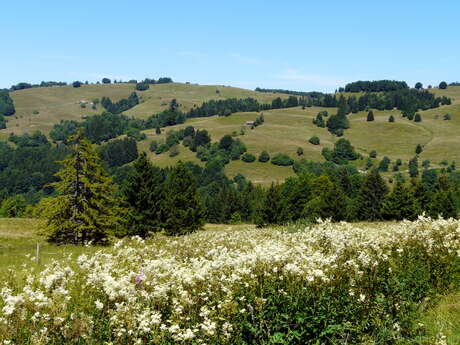 Sentier des Creusates