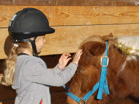 Découverte du poney