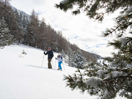 Balcons du Grand Puy -Moyen 4km