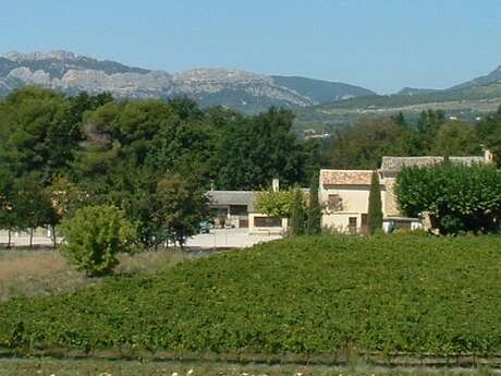 Balade pédestre au Domaine du Vas