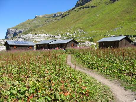 Rando pédestre au refuge de Sales en 2 jours - Etape 1