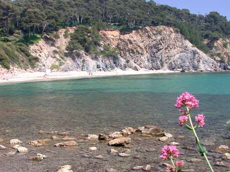 Plage du Monaco