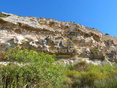LES BAUX-DE-PROVENCE - Chemin des Trémaïé
