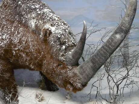 JEP 2026: Le Préhistorama