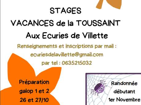Grands jeux d'Halloween