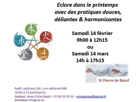 Atelier de Qi Gong "Bien-être Corps et esprit"