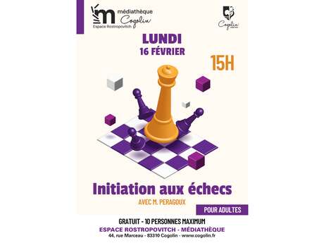 Introduction to adult chess