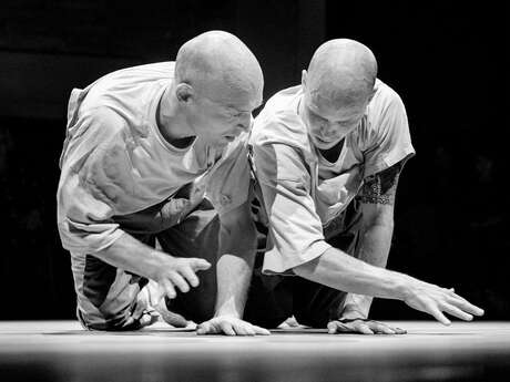 Plateforme Studiotrade