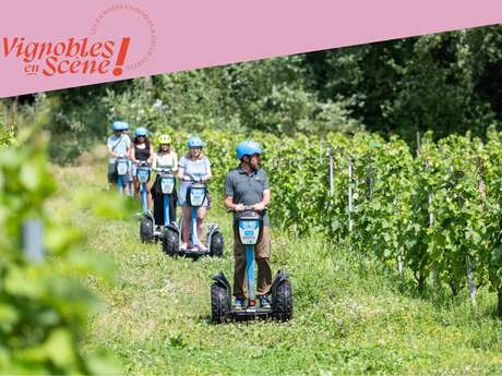 Balade en gyropodes dans les vignobles