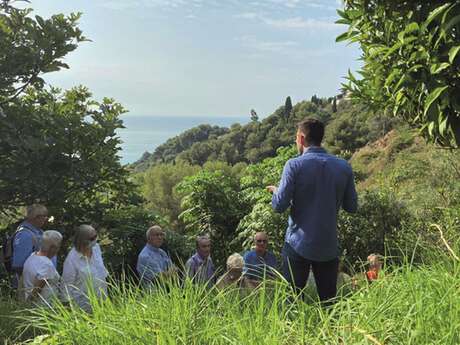 Guided tour of Domaine Gannac in English