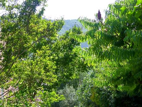 Exposition photos par Eric Pelliat “Sous nos yeux : les insectes”