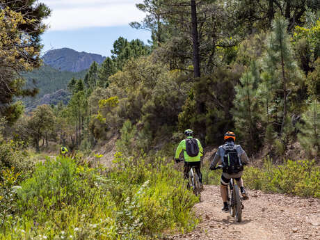 Circuit VTT : Ravin de Malinfernet (ancien lac de l'écureuil)