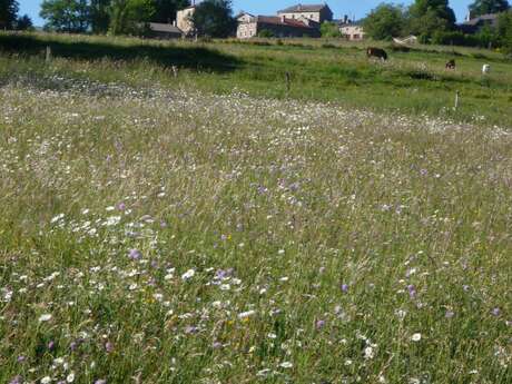 Mairie du Mas de Tence