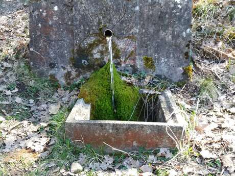 Fontaine de Moisson