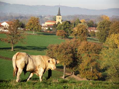 La Triplette Charoline