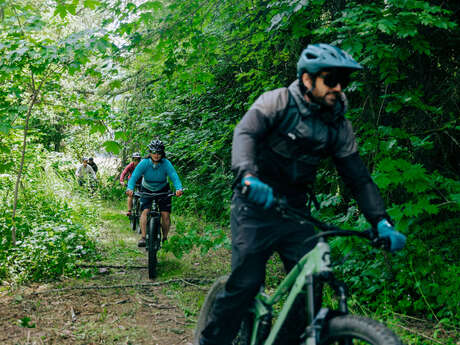 VTT électrique sortie collective