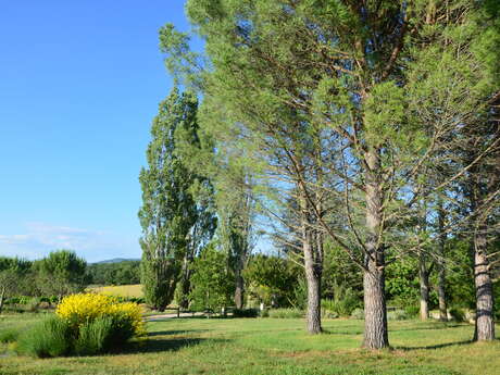 Domaine de la Bastidonne - Mas de L'Olivier