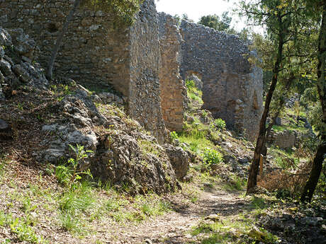 Vieux-Flassans, château des Pontevès
