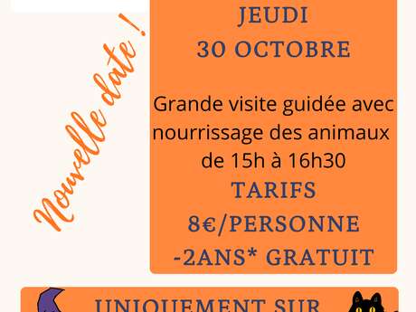 Visita guiada a la granja de animales de Pibouls