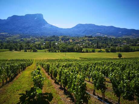 Apéro'vignes au Domaine des Granges Longes