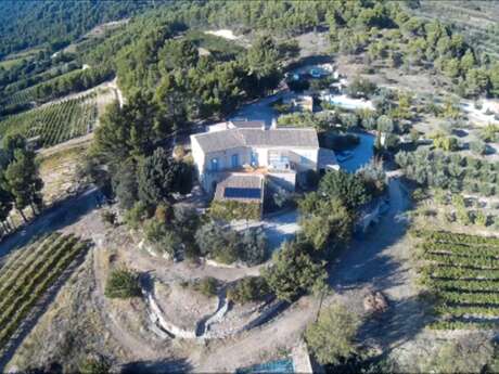 Les Gites de Clairier - Les Pins