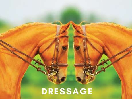 Concours de dressage