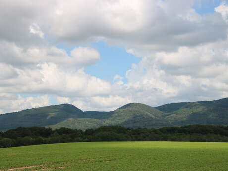 MTB track #2 (blue) - At the foot of the three mountains