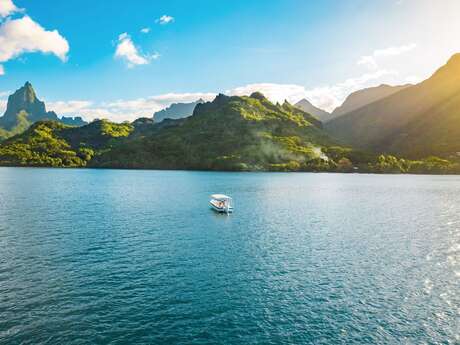 Aimeho Private Escapes - Sortie Baleines